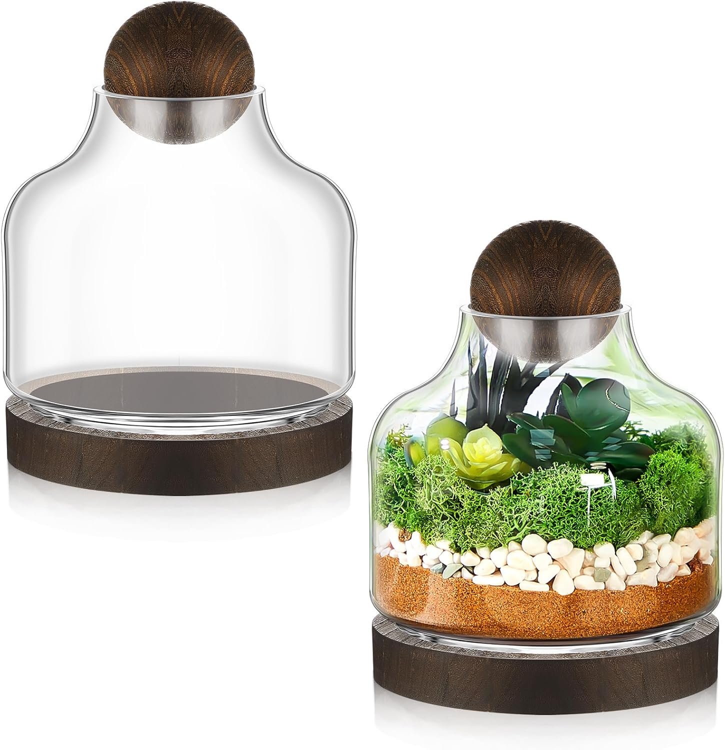 2 Pcs 7 Inch Glass Terrarium with Wooden Base & Ball Lid, Modern Tabletop Plant Container for Moss, Air Plants & Succulents, Decorative Home Office Desk Decor