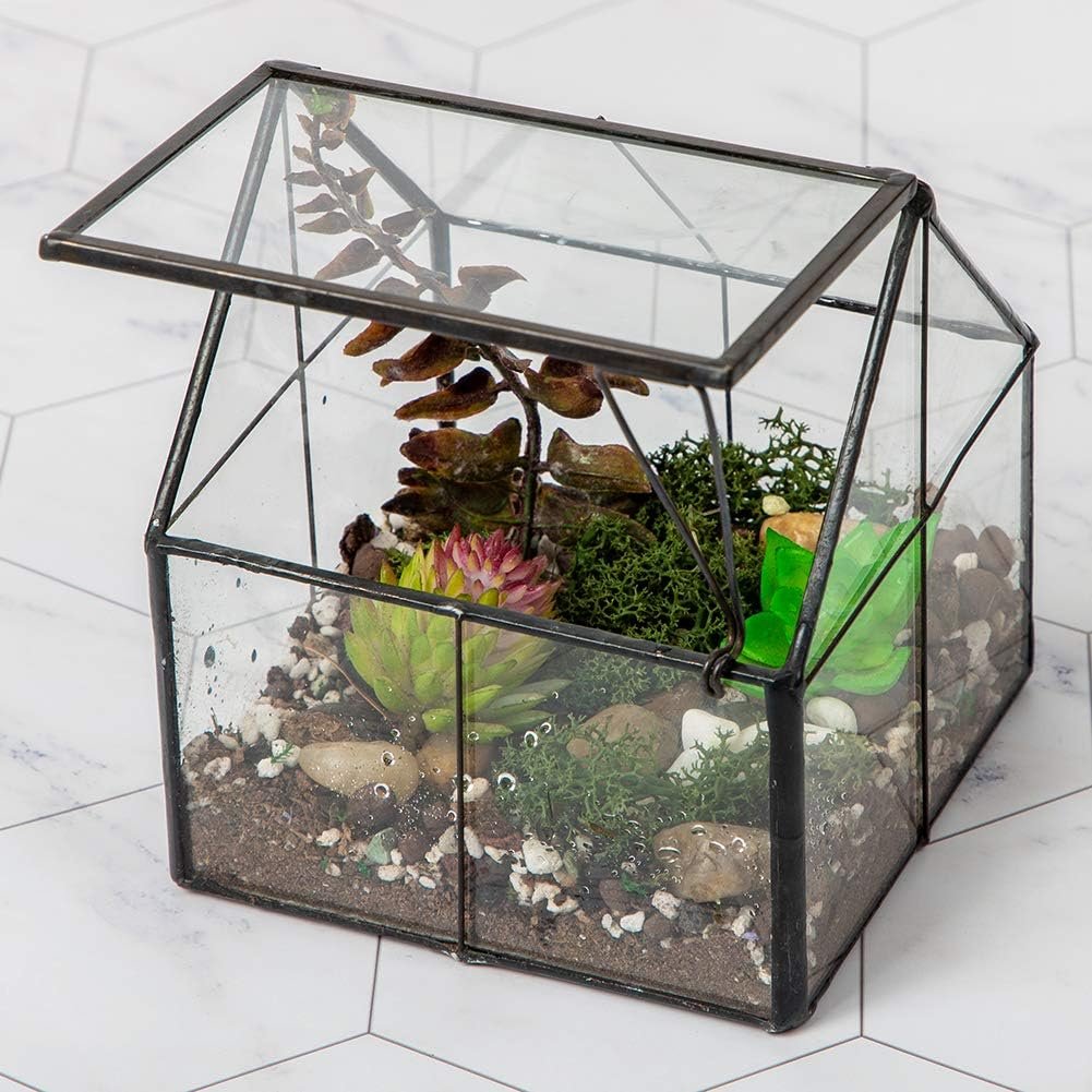 Ferrisland Glass Plant Terrarium Container Wardian Case Indoor Small Succulent Terrarium Planter w/Door for Tabletop Decor DIY – 4.9″x4.3″x4.3″