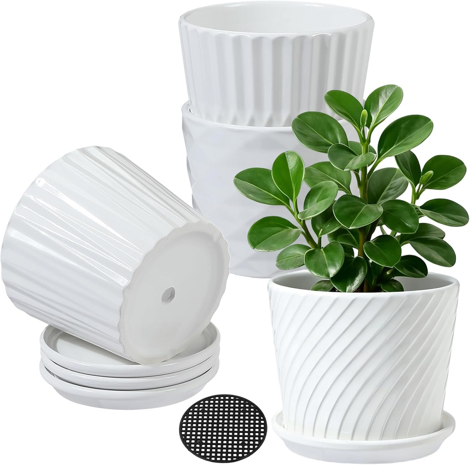 sietpoek Plant Pots – 5.5 Inch Cylinder Ceramic Planters with Connected Saucer, Pots for Succuelnt and Little Snake Plants, Set of 4, White