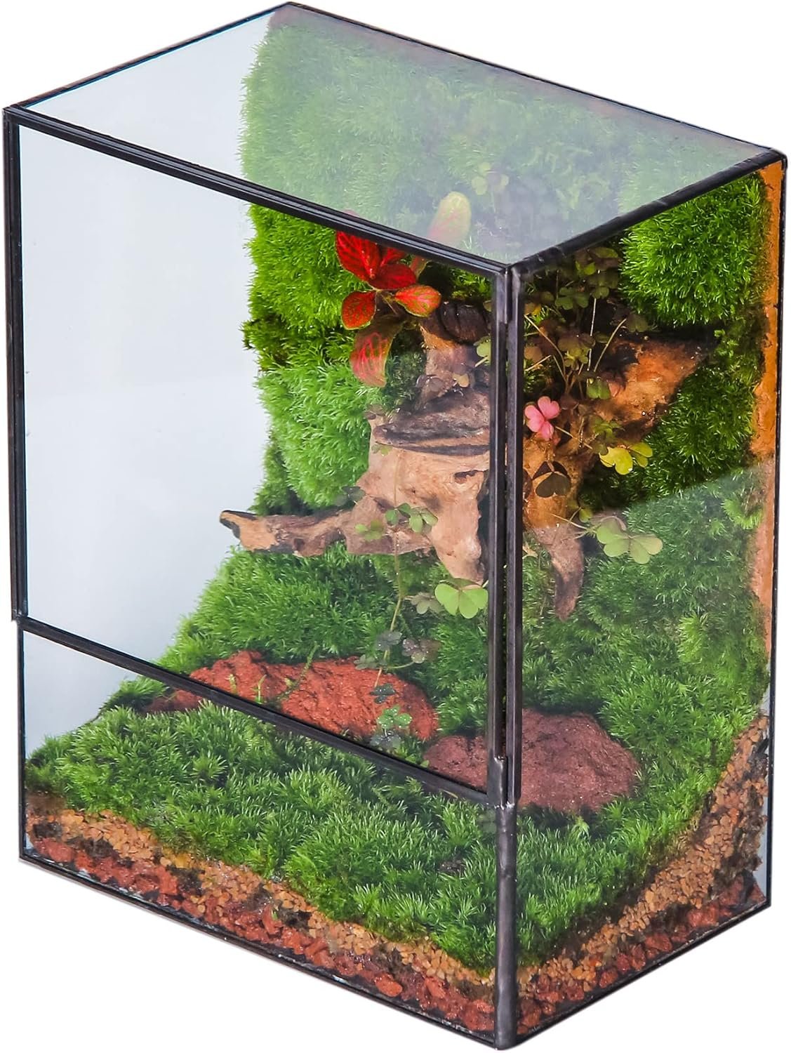NCYP Close Glass Terrarium with Door – 7.8 x 5.1 x 9.8 Inches Geometric Landscape Clear Planter for Small Tropical Plants – Indoor Tabletop Centerpiece, Garden Decor (Terrarium Only)