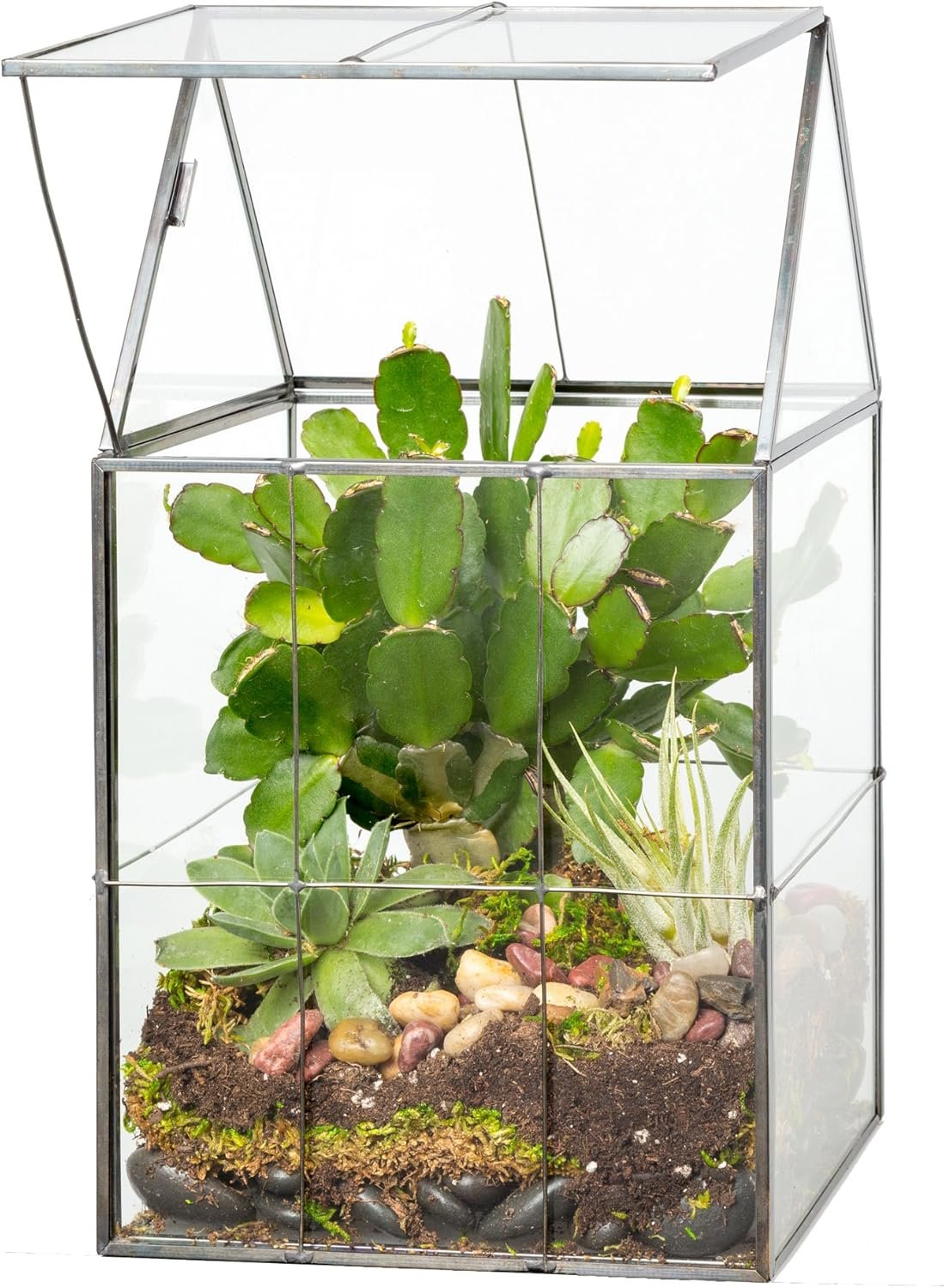 D’Eco Glass Geometric Centerpiece (6x5x11) – Planter Terrarium – Spring Home Decor & Wedding Letterbox – Fill with Succulents, Cacti, Air Plants, Moss, Flowers for Plant Lovers