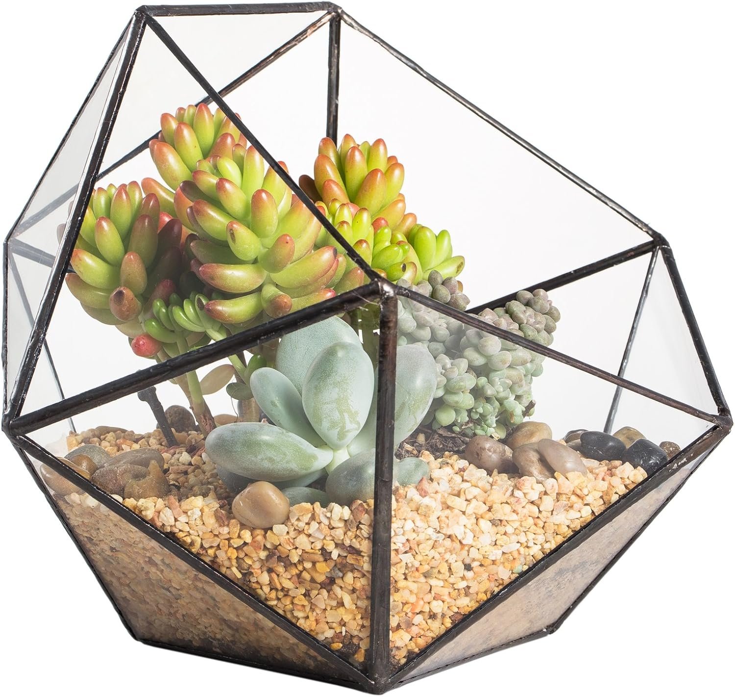 NCYP Opened Geometric Glass Terrarium, 6.69″ Bowl Shape Planter for Succulent Plant Cacti, Indoor Balcony Irregular Decor, Garden Miniature Pot, Tabletop Centerpiece (No Plants)