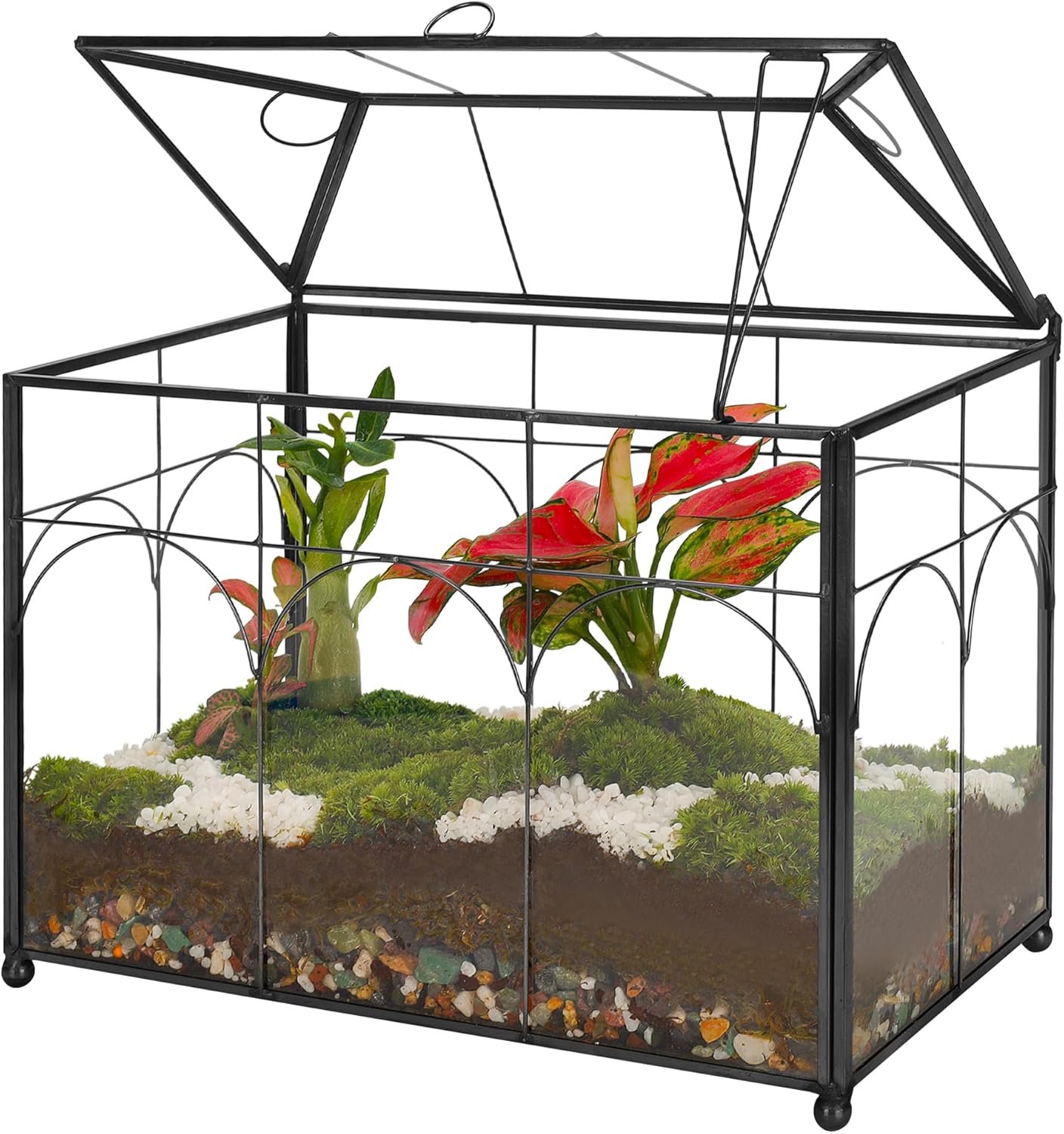 REDHUGO Handmade Glass Planter Terrarium with Lid, Indoor Tabletop Centerpiece Display Box Modern Decor DIY Gift Plant Terrarium Container for Succulent Cacti Air Plants Flower (Black)