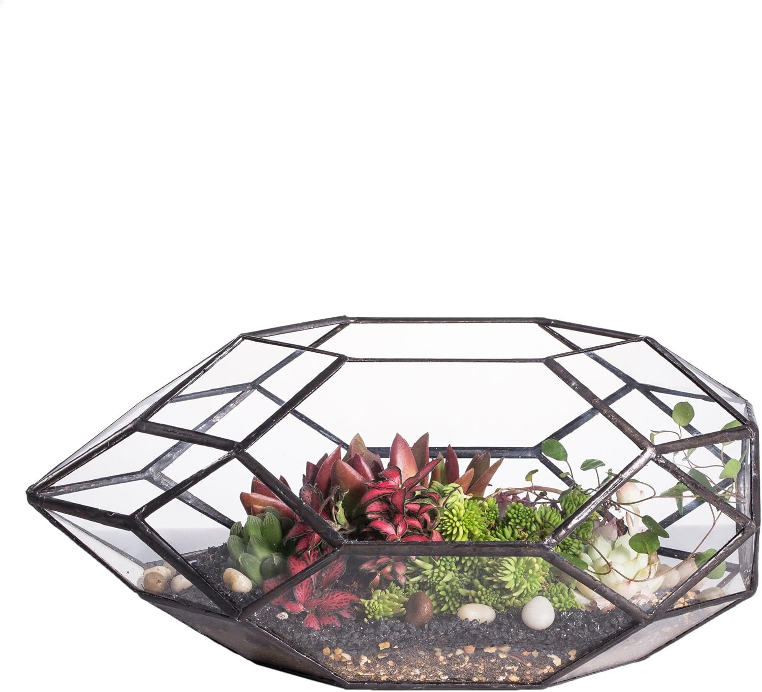 NCYP 6.5 x 5.9 x 11 Inches Geometric Glass Terrarium for Succulent, Air Plants – Large Irregular Clear Planter Pot, Indoor Tabletop Centerpiece, Wedding Garden Decor, Black (No Plants)
