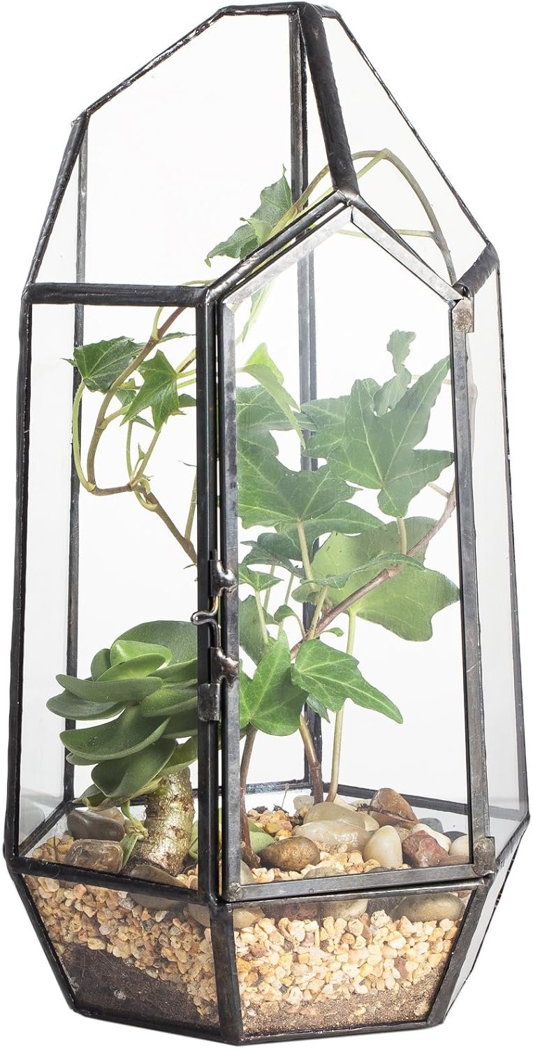NCYP Small 5.1″ x 5.1″ x 8.66″ Irregular Geometric Glass Terrarium Planter with Door – Home Tabletop Display Container Pot for Succulents, Cacti – Indoor Clear Decor, Black (No Plants)