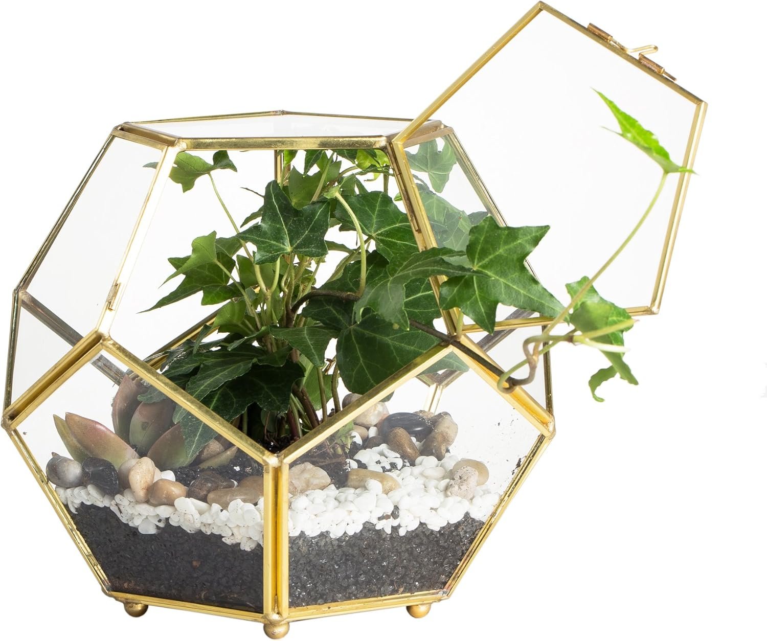 NCYP Glass Geometric Terrarium Planter with Door and Foot, Pentagon Ball Shape Glass Terrarium for Fern, Succulents, Small Plants, Gold, 6.8 x 6.8 x 5.9 inches (No Plants)