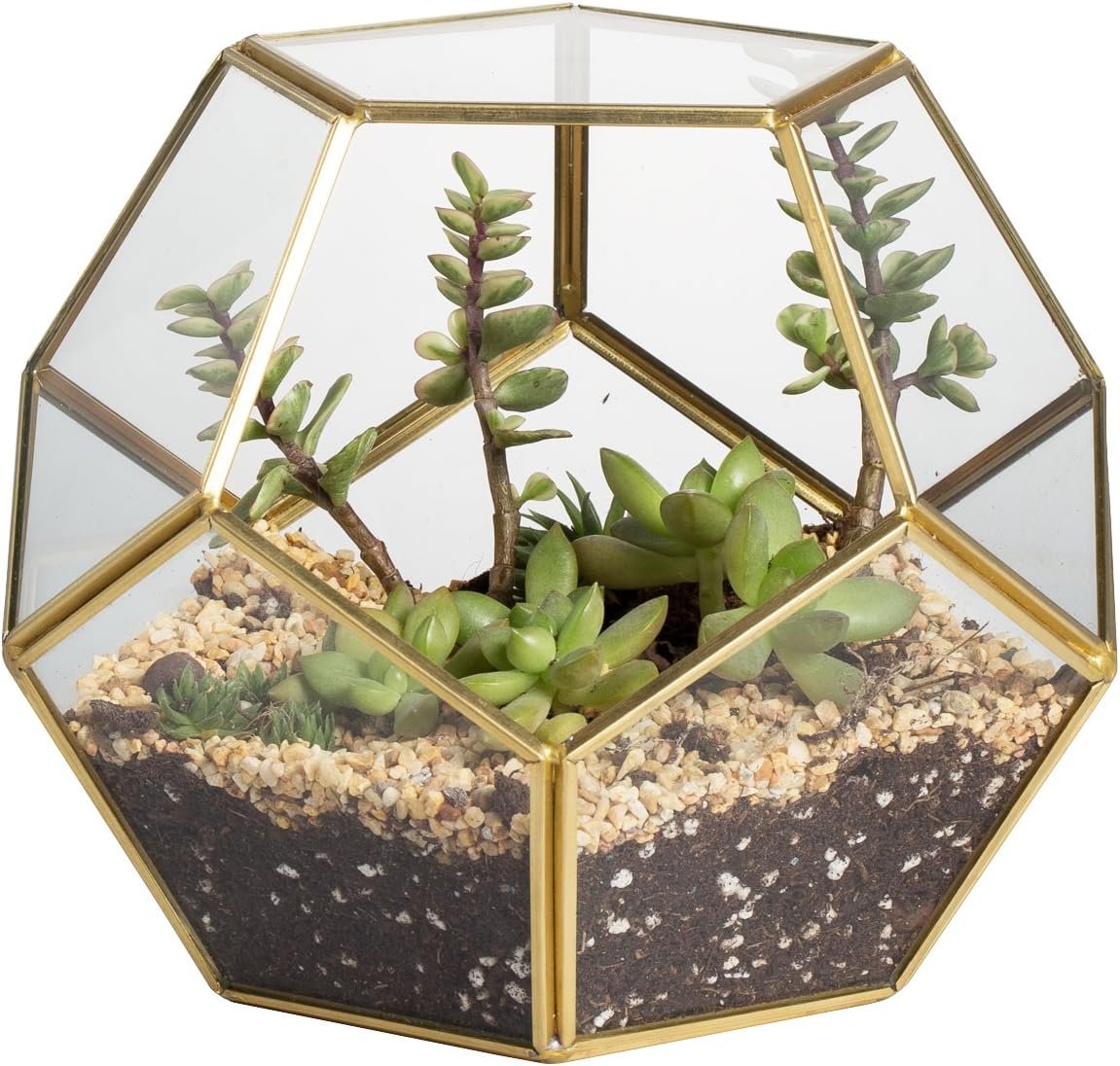 NCYP No Door Glass Terrarium for Small Cactus, Succulents – Gold Geometric Terrarium Pot, Home Office Tabletop Miniature Garden Decor, 6.8 x 6.8 x 5.9 Inches, Handmade (No Plants)