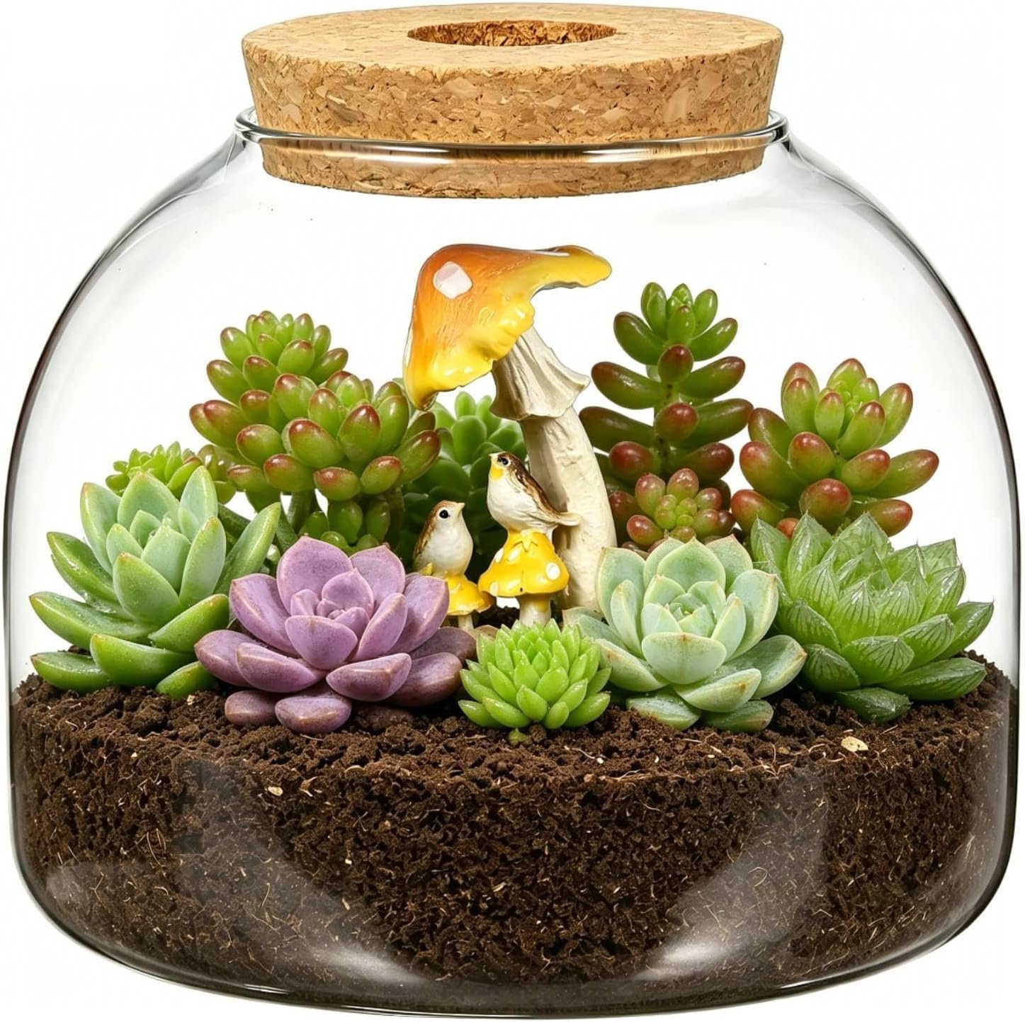Milisten Glass Terrarium Jar with Cork Lid, 5.9×5.3 in Desktop Hydroponic Plant Container, Air Plant Propagation Vase for Home Office Decor & Miniature Garden Display