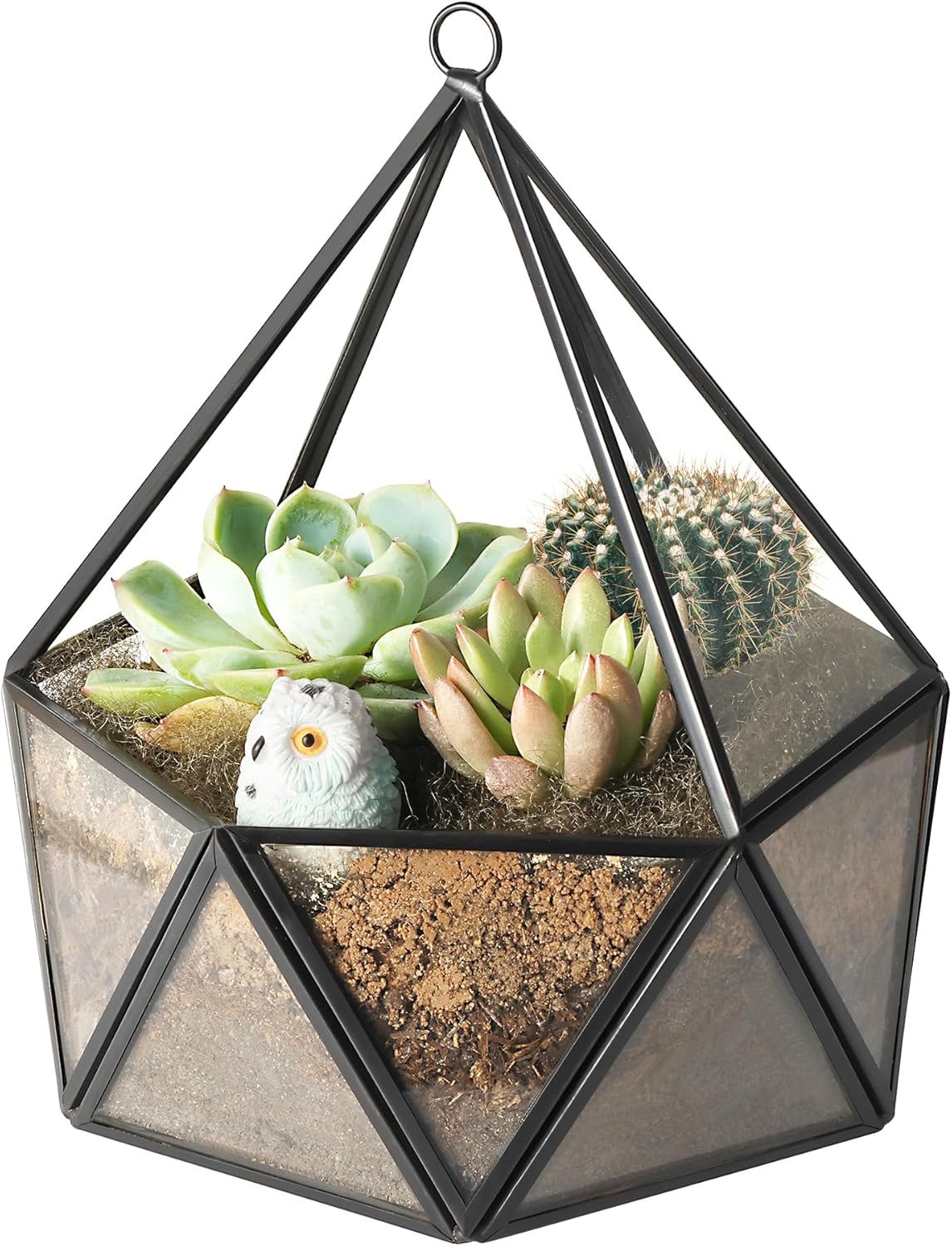 ElegantLife Glass Geometric Terrarium,Succulent & Air Plant(No Plant Included) (Black)